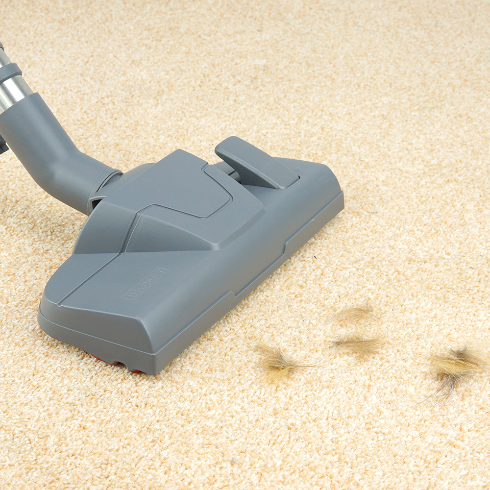 картинка Насадка THOMAS для ковра для уборки шерсти домашних животных с переключателем (139906) от Интернет-магазин THOMAS