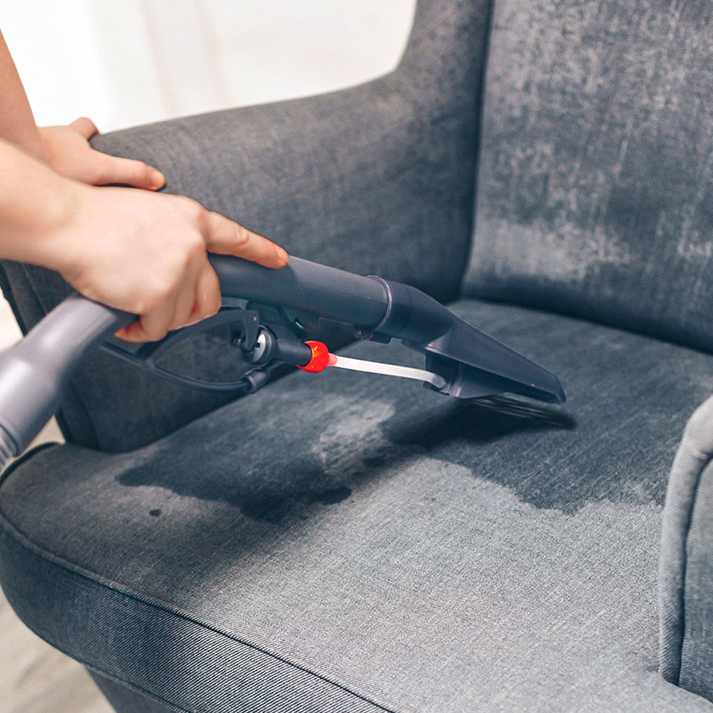 картинка THOMAS AQUA FleckWasher (788121) от Интернет-магазина THOMAS